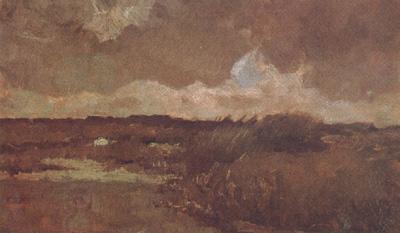 Vincent Van Gogh Marshy Landscape (nn04) China oil painting art